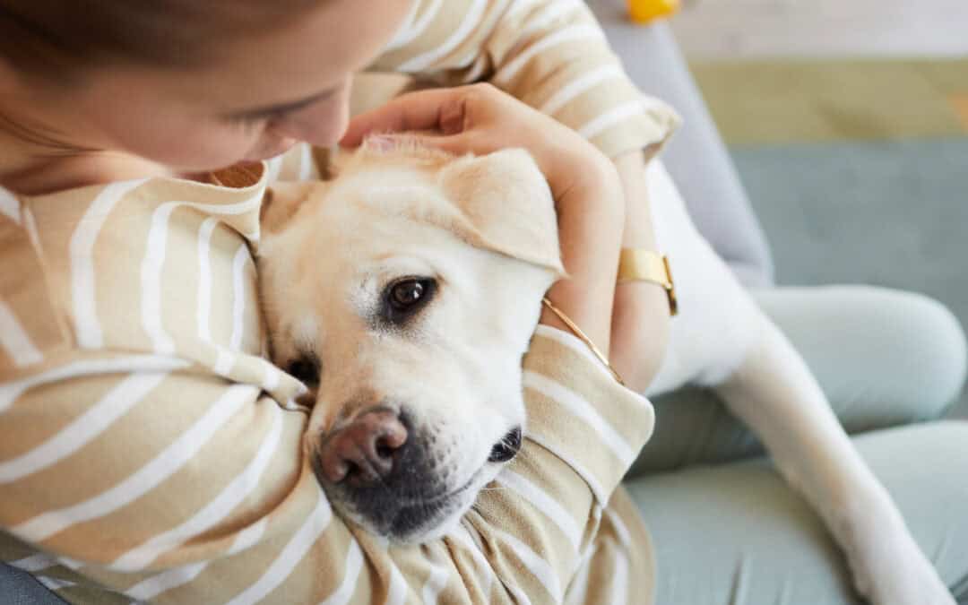 Overcoming the Silent Burden: Guilt and Shame in Caring for Dogs