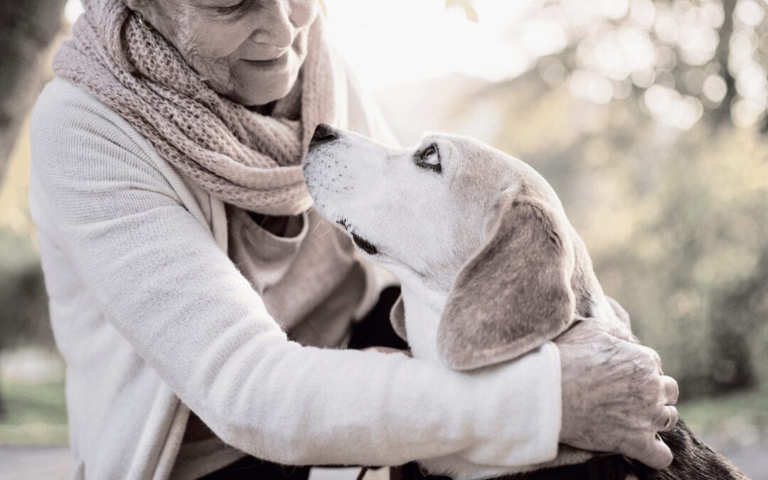 The Most Important Decision You Can Make for Your Terminally Ill Pet