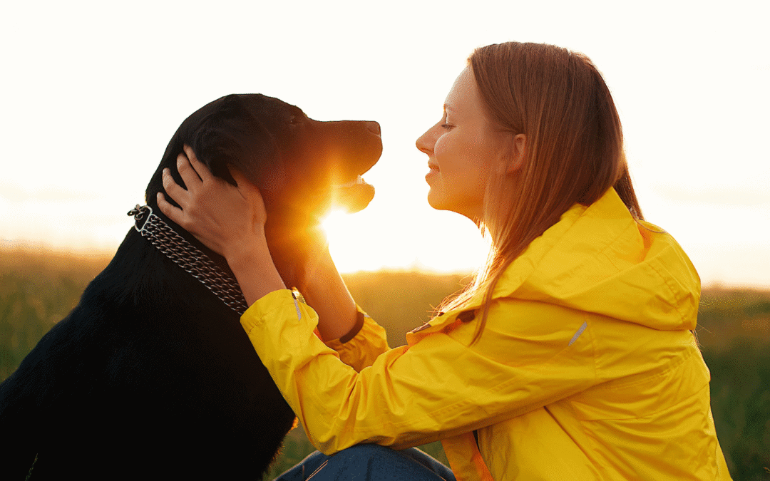 The Awakened Guardian: What Our Dogs Need Most Isn’t What You Think