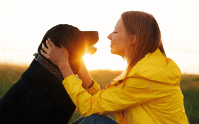 The Awakened Guardian: What Our Dogs Need Most Isn’t What You Think