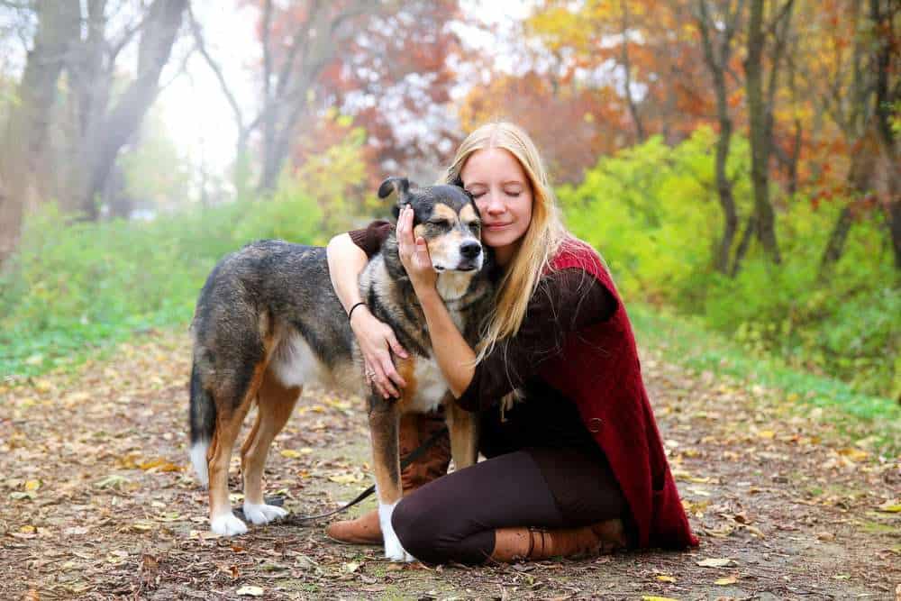 Caring for Your Dog During Their Final Months: Finding Peace in Their Journey