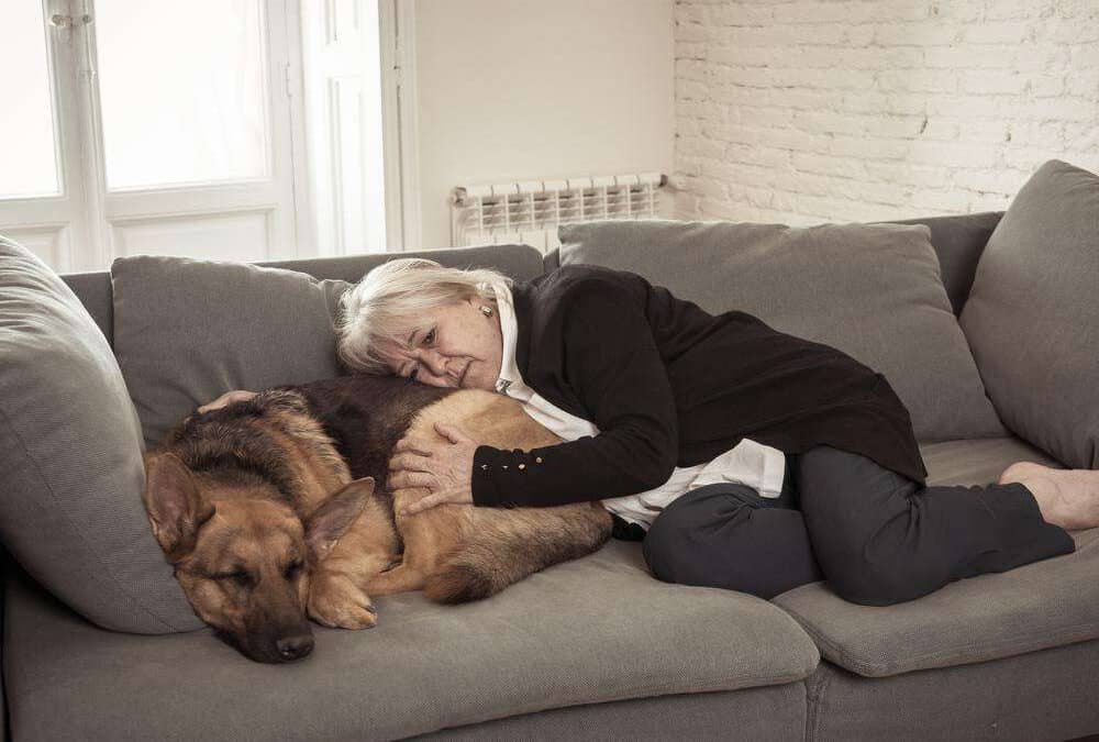 Facing The Final Chapter-Terminal Illness In Dogs