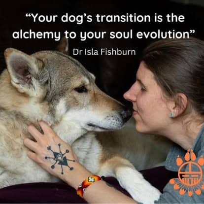 isla alchemy photo