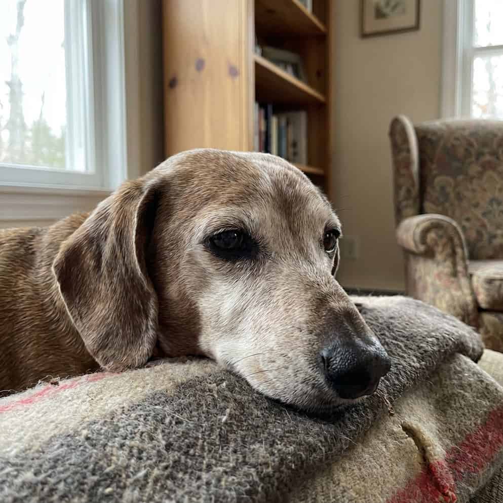 Peaceful end of life care visit Suffolk County NY