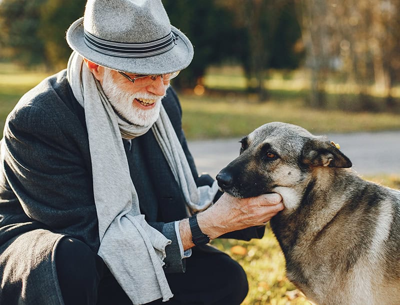 elderly dog with owner