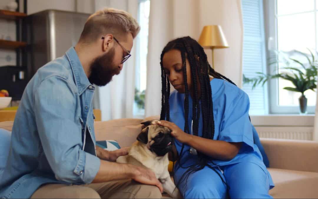 What to Expect During In-Home Pet Euthanasia | Long Island & NYC