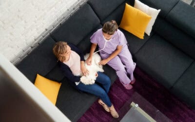 7 Questions to Ask Before Booking an In-Home Pet Euthanasia Vet